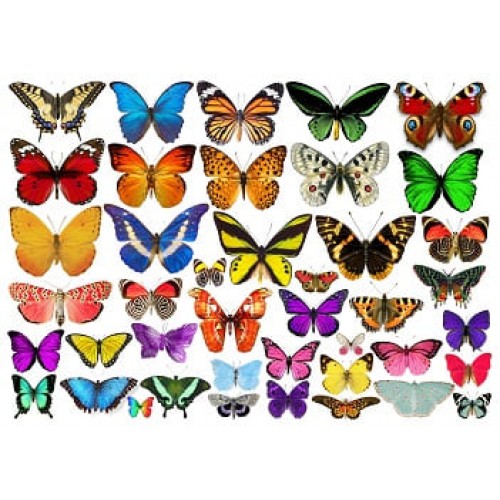 Їстівна картинка "Метелики, асорті"